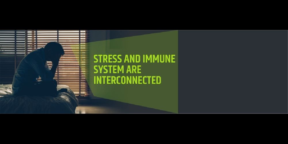 Stress and the immune system are interconnected