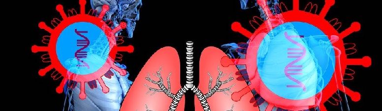 Does COVID-19 Affect Organs Other than Lungs?